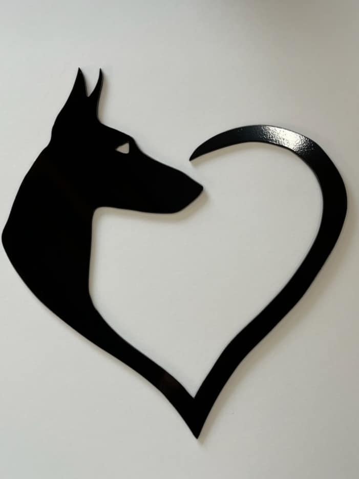 Doberman heart sign